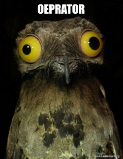 Weird Stuff I do Potoo