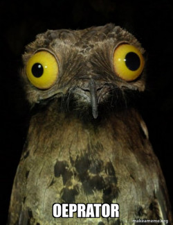 Weird Stuff I do Potoo