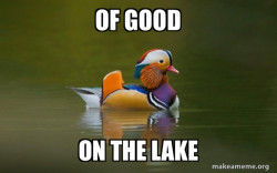Fashionable Advice Mallard