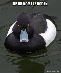 Revenge Duck ( Angry Advice Duck )