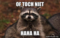 Evil Plotting Raccoon