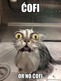 Cat bath