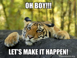 Confession Tiger
