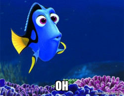 Dory from Nemo  (5 second memory)