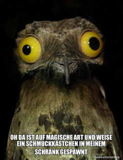 Weird Stuff I do Potoo