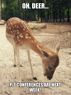 O M G Deer
