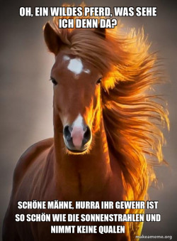 Ridiculously photogenic horse
