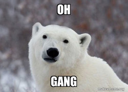 Popular Opinion Polar Bear