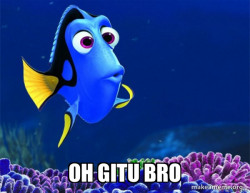 Dory from Nemo  (5 second memory)