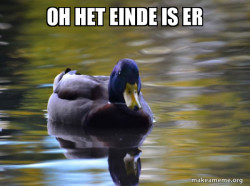 Zen Advice Mallard