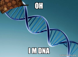dna