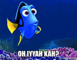 Dory from Nemo  (5 second memory)