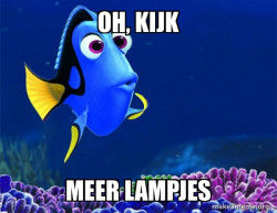 Dory from Nemo  (5 second memory)