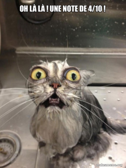 Cat bath