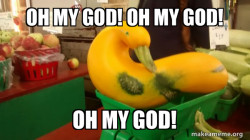 Gourd Advice Mallard
