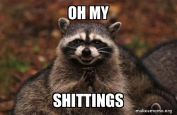 Evil Plotting Raccoon