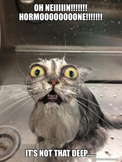 Cat bath