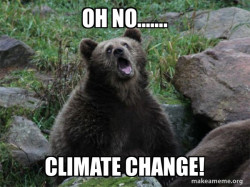 Sarcastic Bear