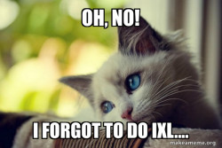First World Cat Problems