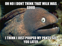 Bad Joke Eel