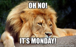 Confession Lion