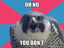 Millennial Falcon