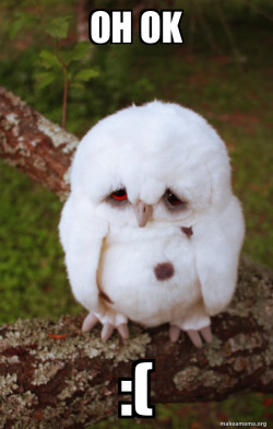 Sad Owl