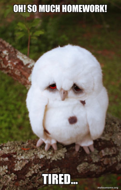 Sad Owl