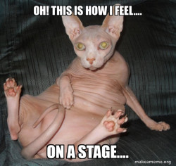 Hairless Cat