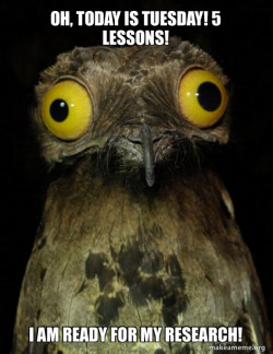 Weird Stuff I do Potoo