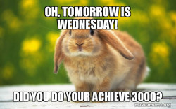 Regretful Rabbit