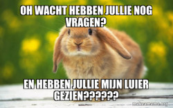 Regretful Rabbit