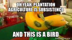 Gourd Advice Mallard