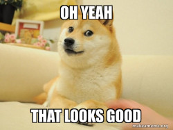 Doge looking at ur cheeks