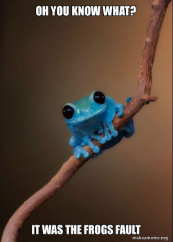 Small Fact Frog