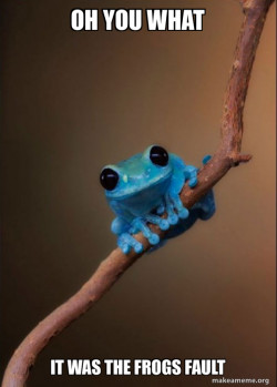 Small Fact Frog