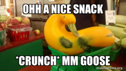 Gourd Advice Mallard