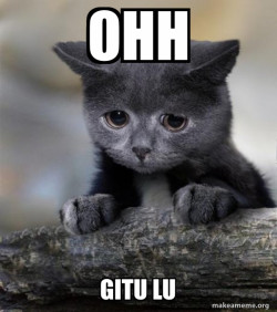 Confession Cat