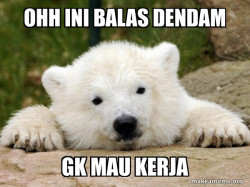 Popular Opinion Bear