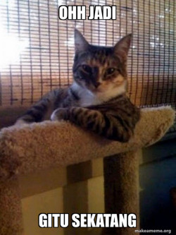 The Most Interesting Cat in the World