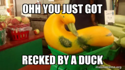 Gourd Advice Mallard