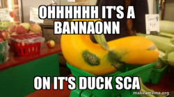 Gourd Advice Mallard