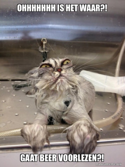 Cat Bath Returns
