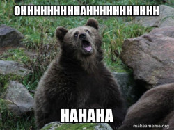 Sarcastic Bear