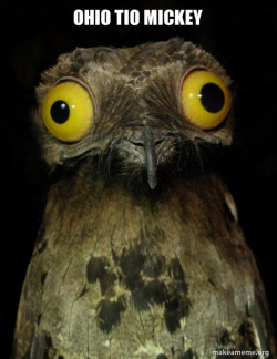 Weird Stuff I do Potoo