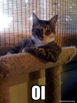 The Most Interesting Cat in the World