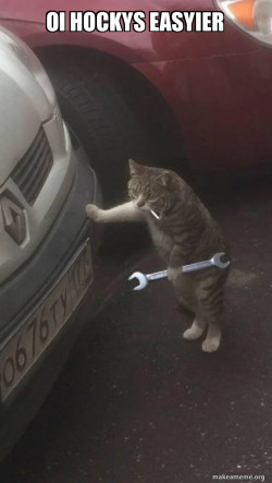 Mechanic Cat