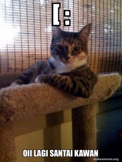 The Most Interesting Cat in the World