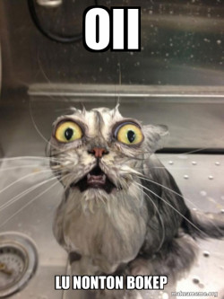 Cat bath