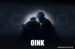 Counter-Strike (CSGO)